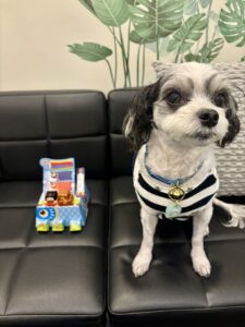 チップ　鯉のぼり